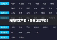 黄安综艺节目（黄安访谈节目）