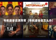 导航语音资源异常（导航语音低怎么办）