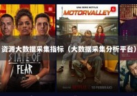 资源大数据采集指标（大数据采集分析平台）